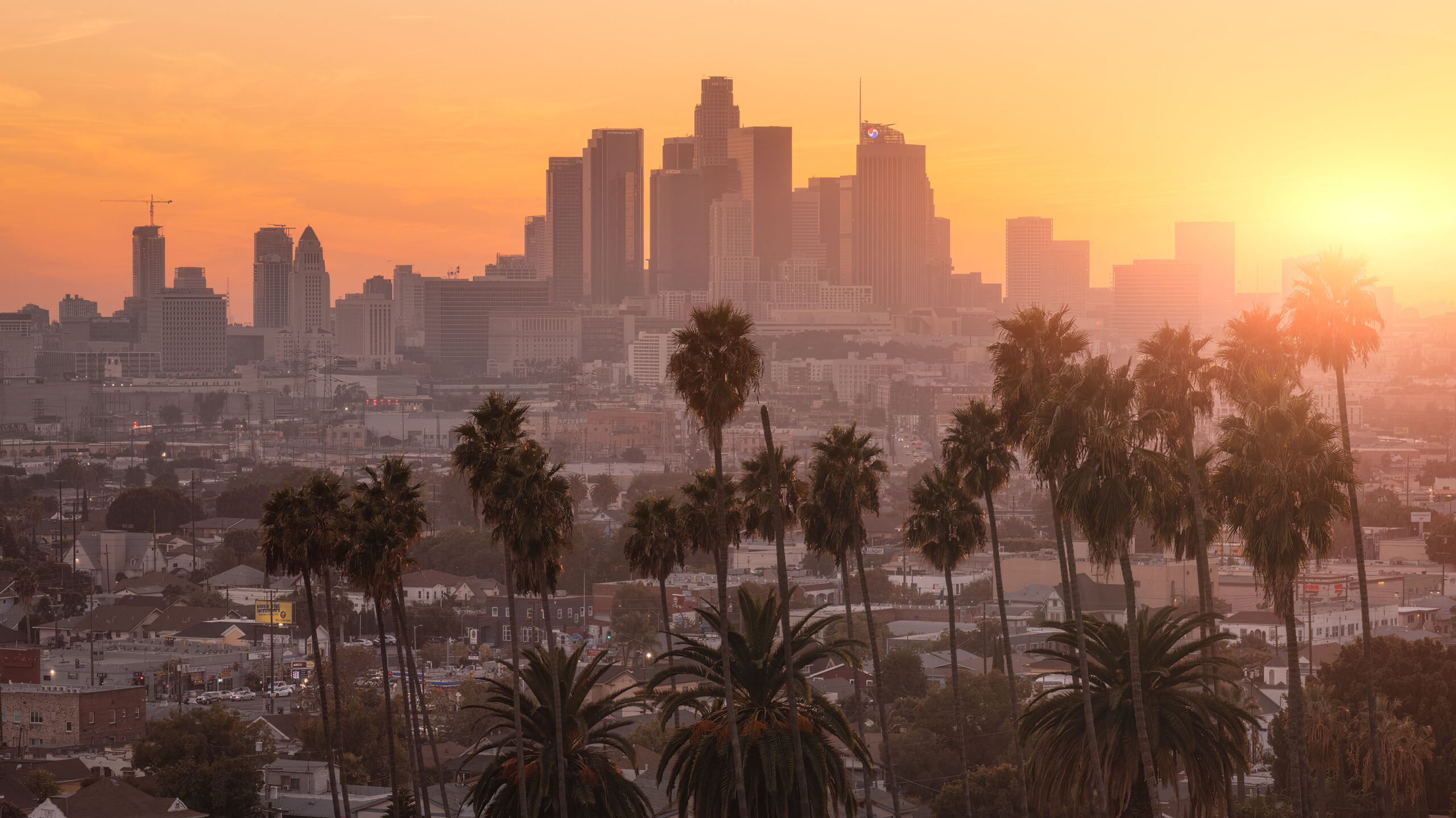 Skyline van Los Angeles bij zonsondergang met palmbomen – fine art wanddecoratie
